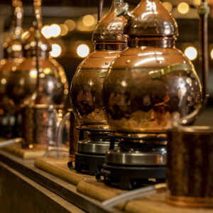 Gin Masterclass